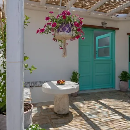 Xerolithia ドヌサ