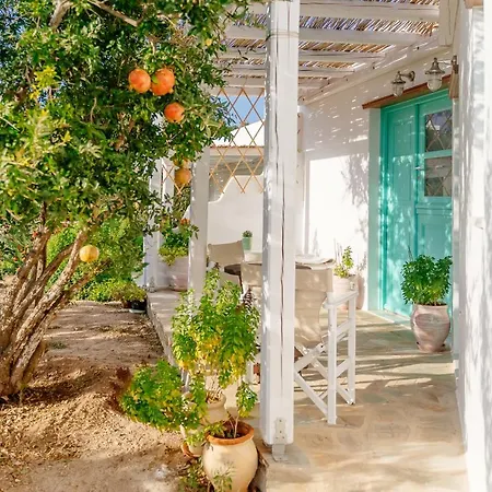 Xerolithia ドヌサ