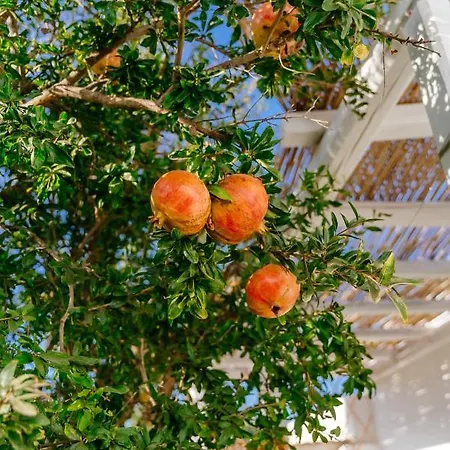 Xerolithia アパートホテル