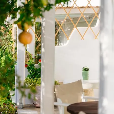 Xerolithia ドヌサ