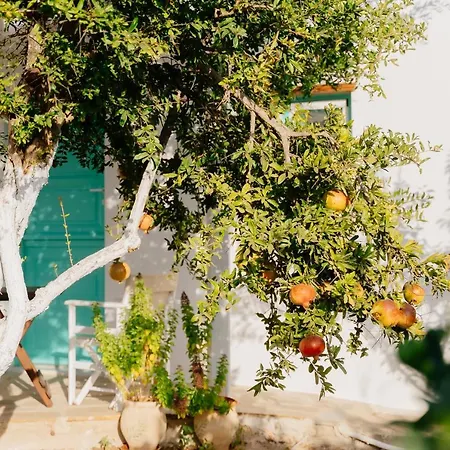 Xerolithia アパートホテル ドヌサ