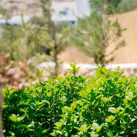 アパートホテル Xerolithia