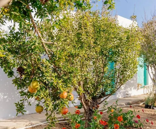 Xerolithia Aparthotel 3*