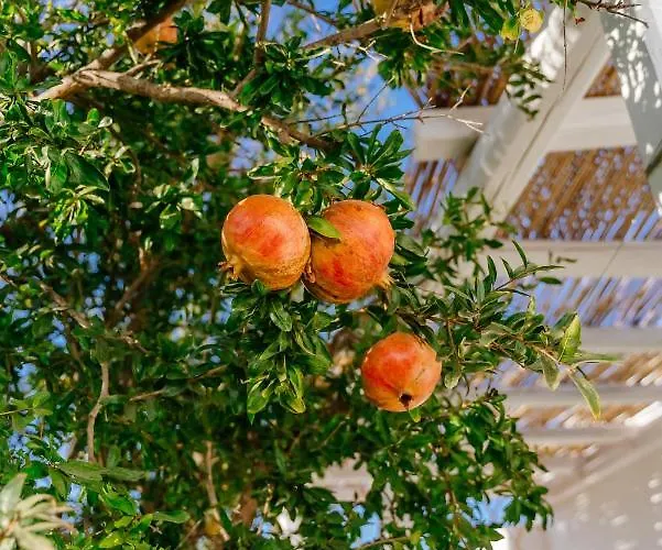 Xerolithia Aparthotel