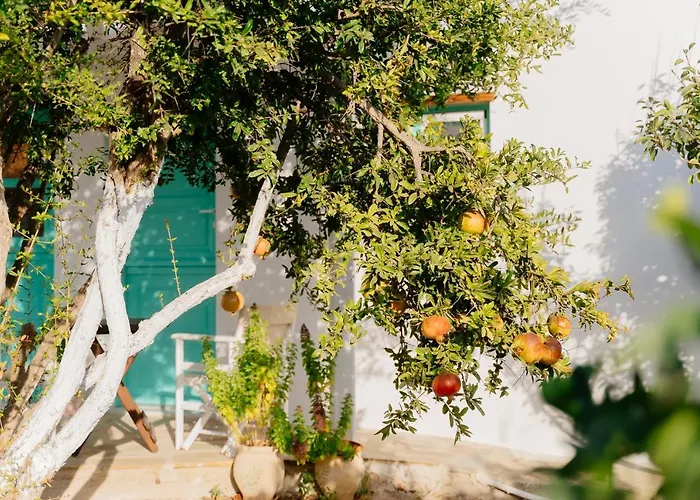 Xerolithia Aparthotel Donousa