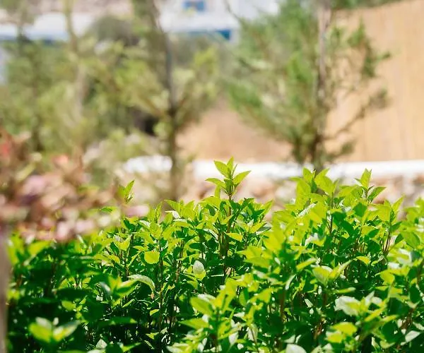 Lägenhetshotell Xerolithia